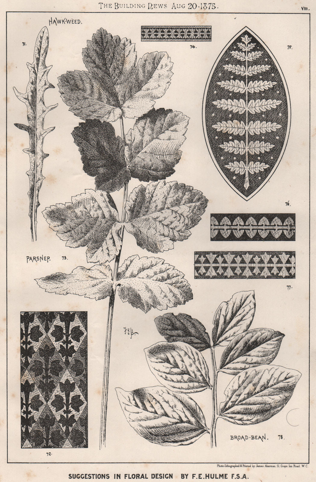Suggestions in Floral; Design by F.E. Hulme F.S.A.. Decorative (7) 1875 print